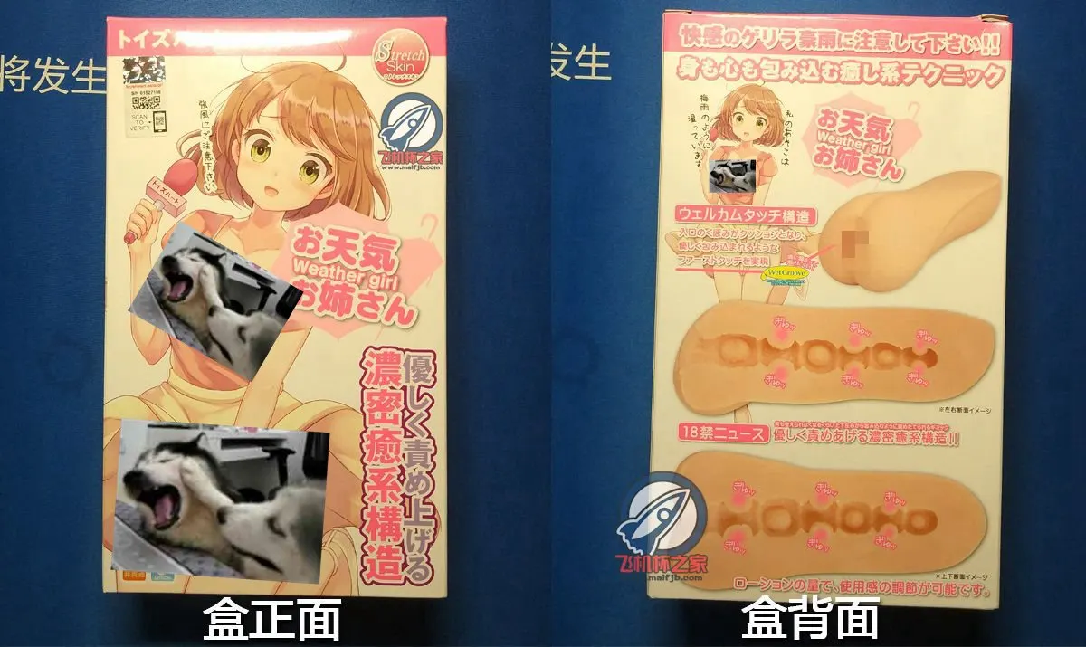 对子哈特 天气预报女孩: fünf Kanalkammern und örtlicher Druck