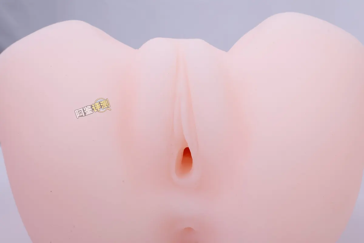 TMT欲望修女 soft und hard: zwei feste kompakte Zweikanal-Modelle