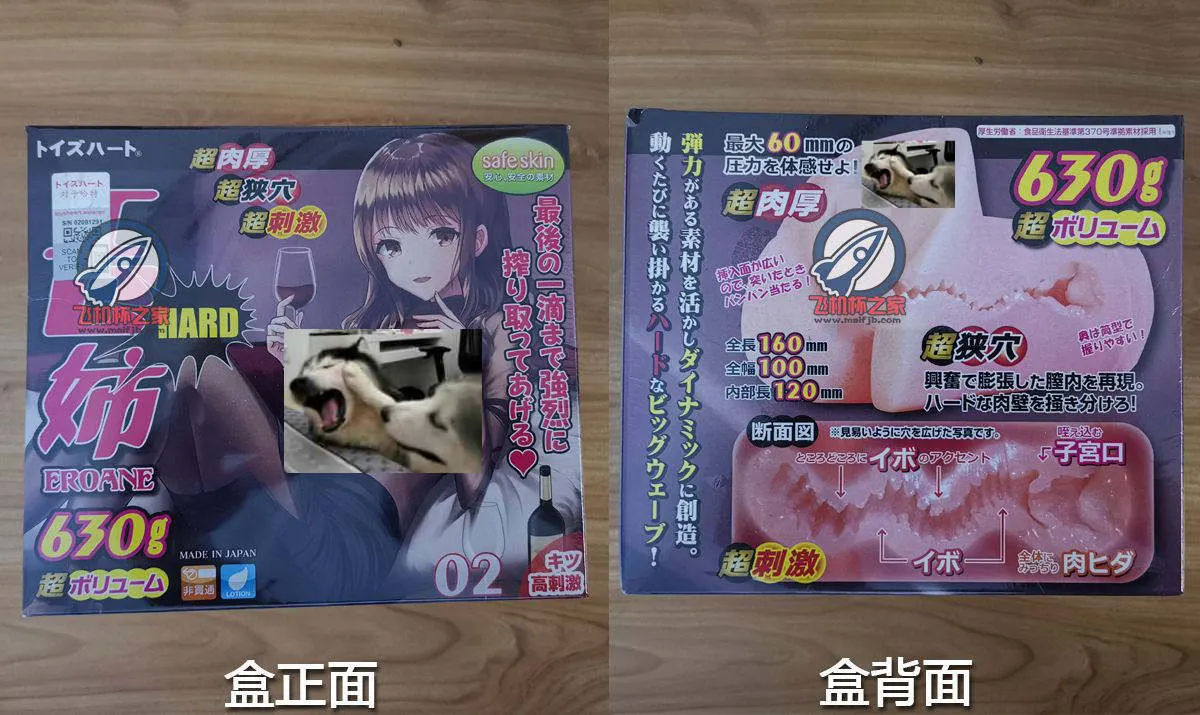 对子哈特 工口姐姐2代: dichte Falten und festerer elastischer Körper