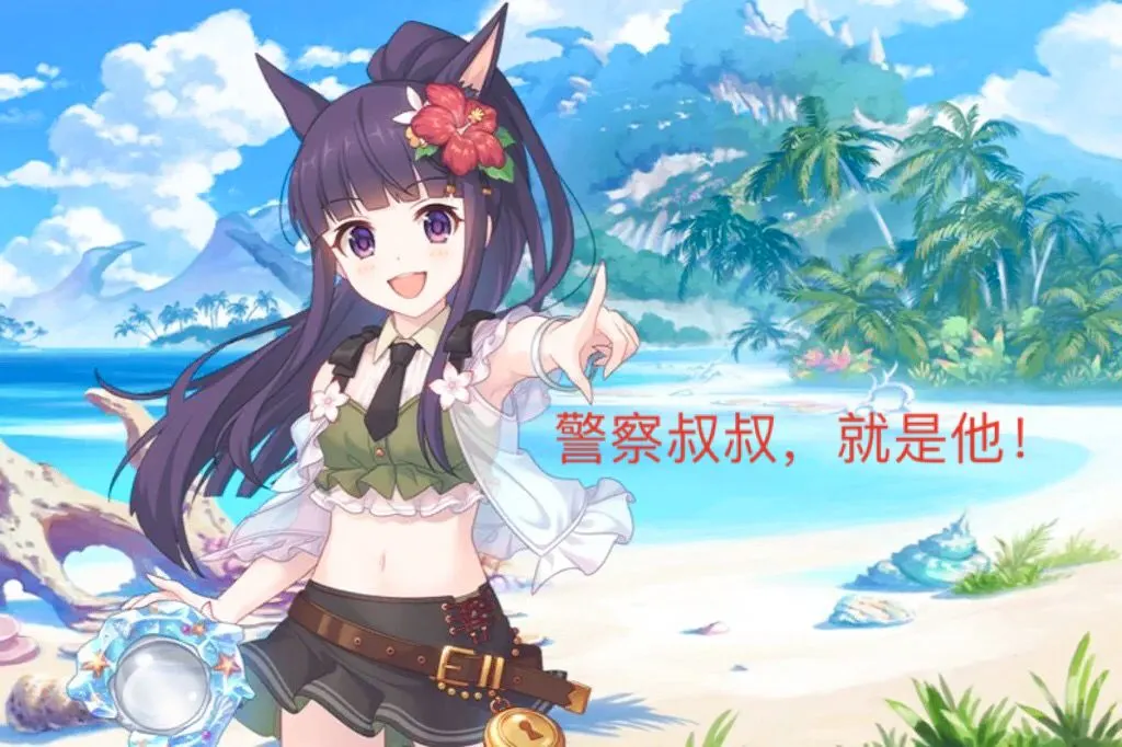 TAMATOYS 捆缚彼女: Aufbau und Pflege