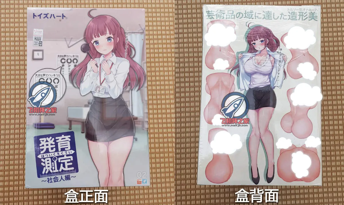 发育测定2代: Halt, Handhabung und Reinigung