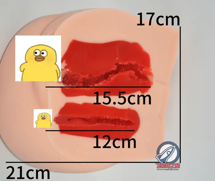 MACCOS 真实之臀: 6 kg schwerer Körper mit zwei Kanälen und hohem Reinigungsaufwand