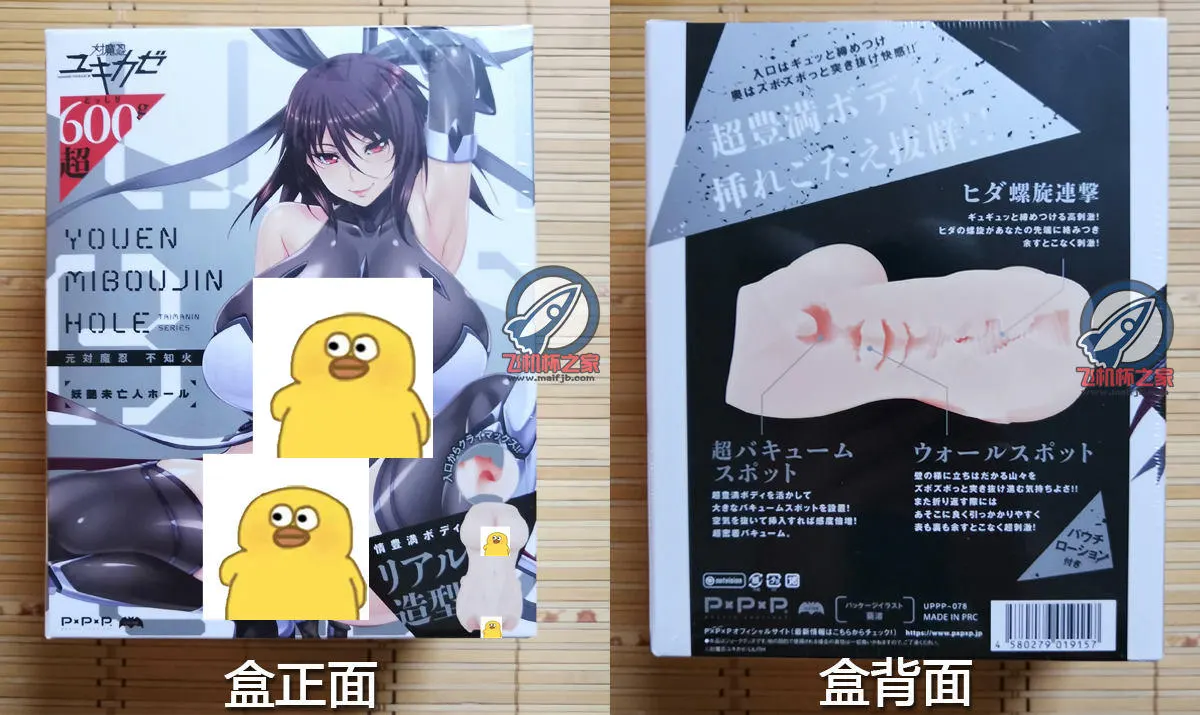 对魔忍 水城不知火: Kanalzonen und Grenzen bei der Reinigung