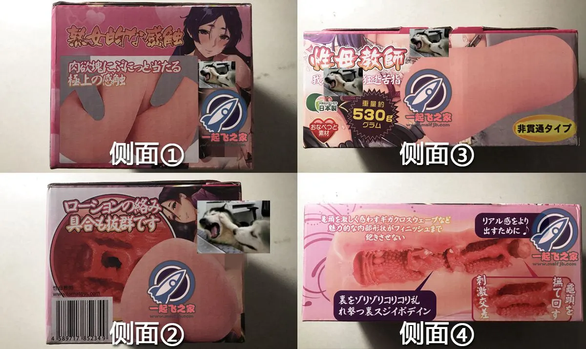 TAMATOYS 性母教师: massiver Eingang und dünnerer hinterer Bereich