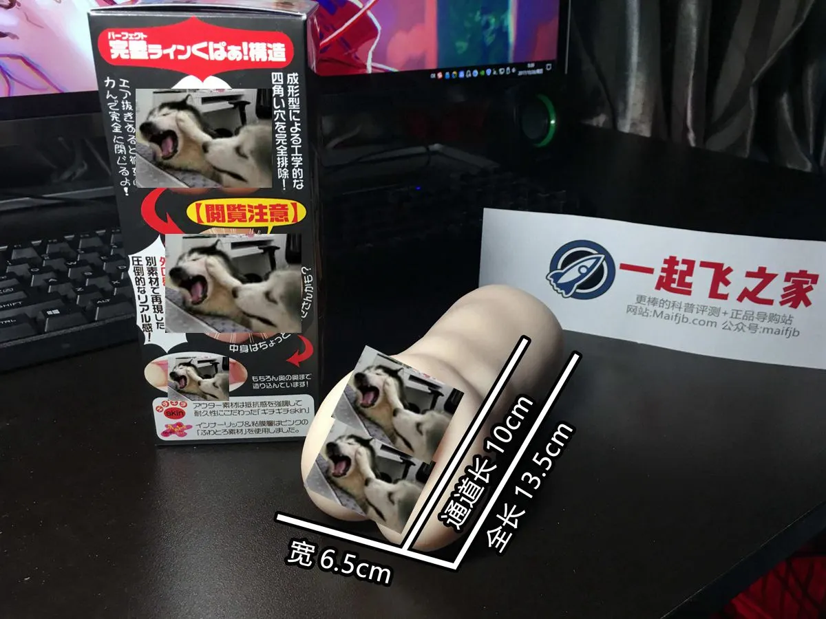 Magic Eyes魔眼 阅览注意姐姐-hard版 im Test
