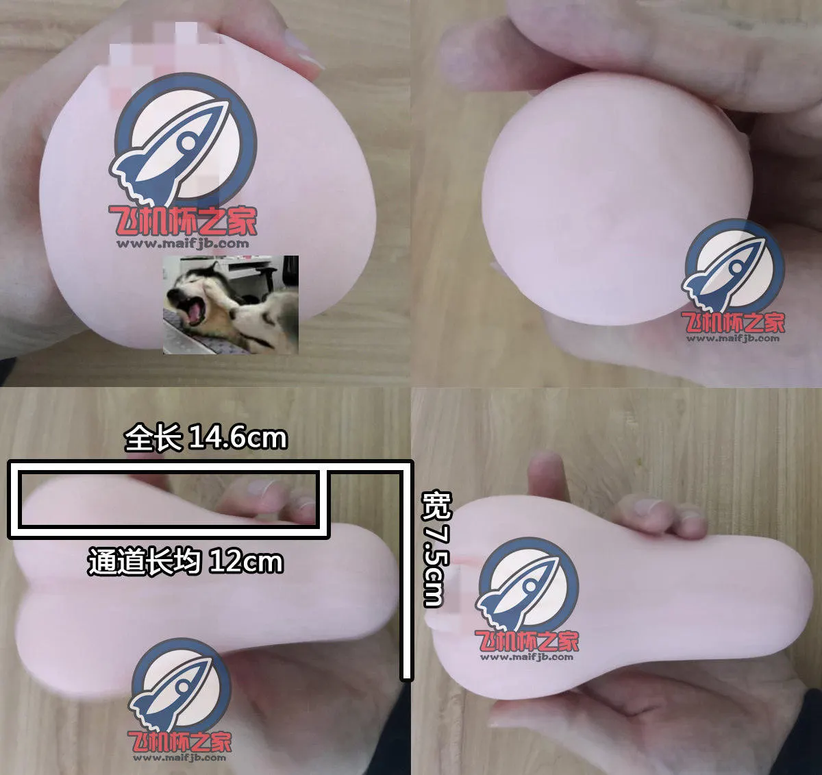 对子哈特 性徒会长: konischer Körper und enge Öffnung