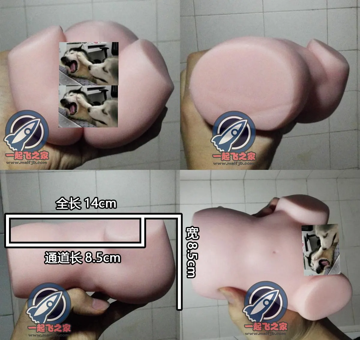 G-project puni virgin PUNI600 im Test