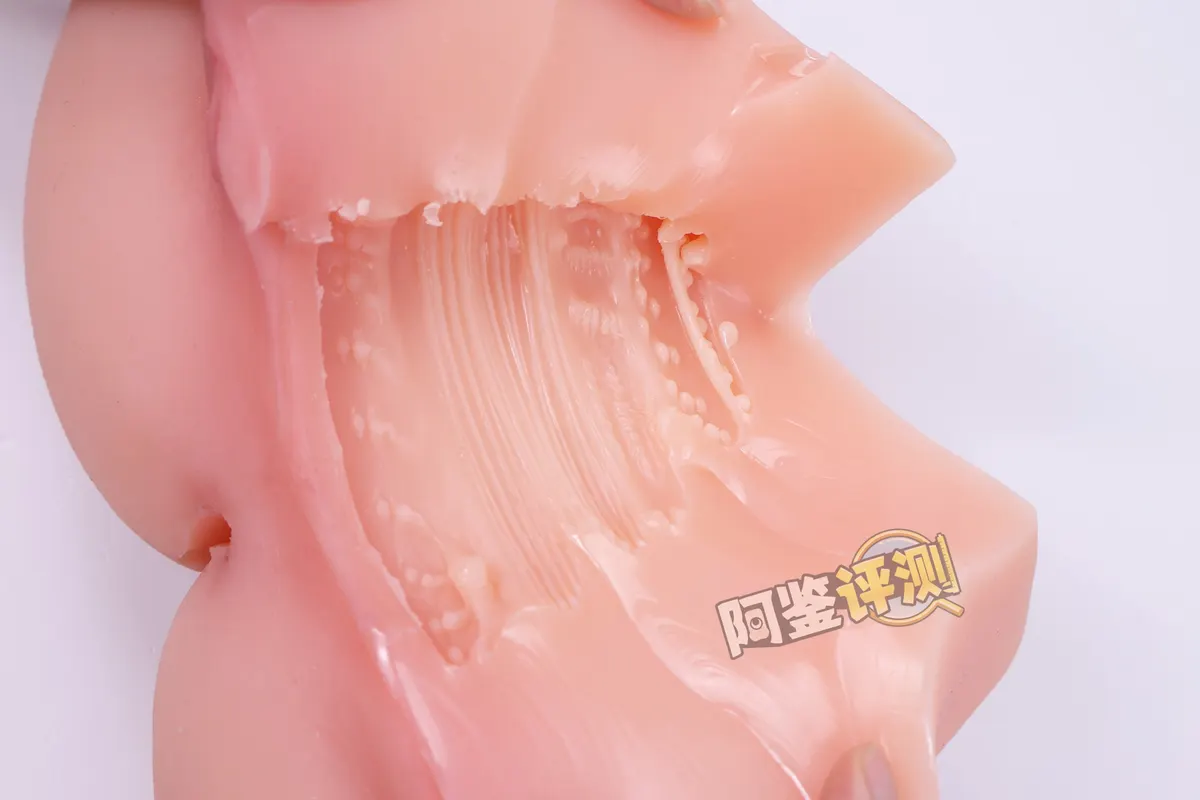迷姬 深田咏美7斤 im Test