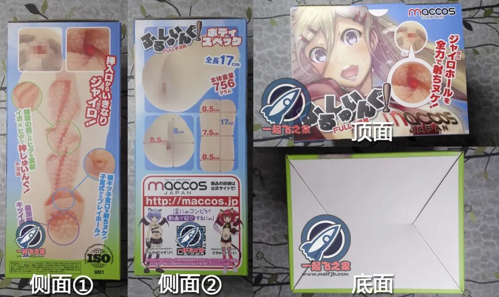 MACCOS 螺旋棒球娘: dicke Wände, Spiralstruktur und trichterförmiger Zwischenraum