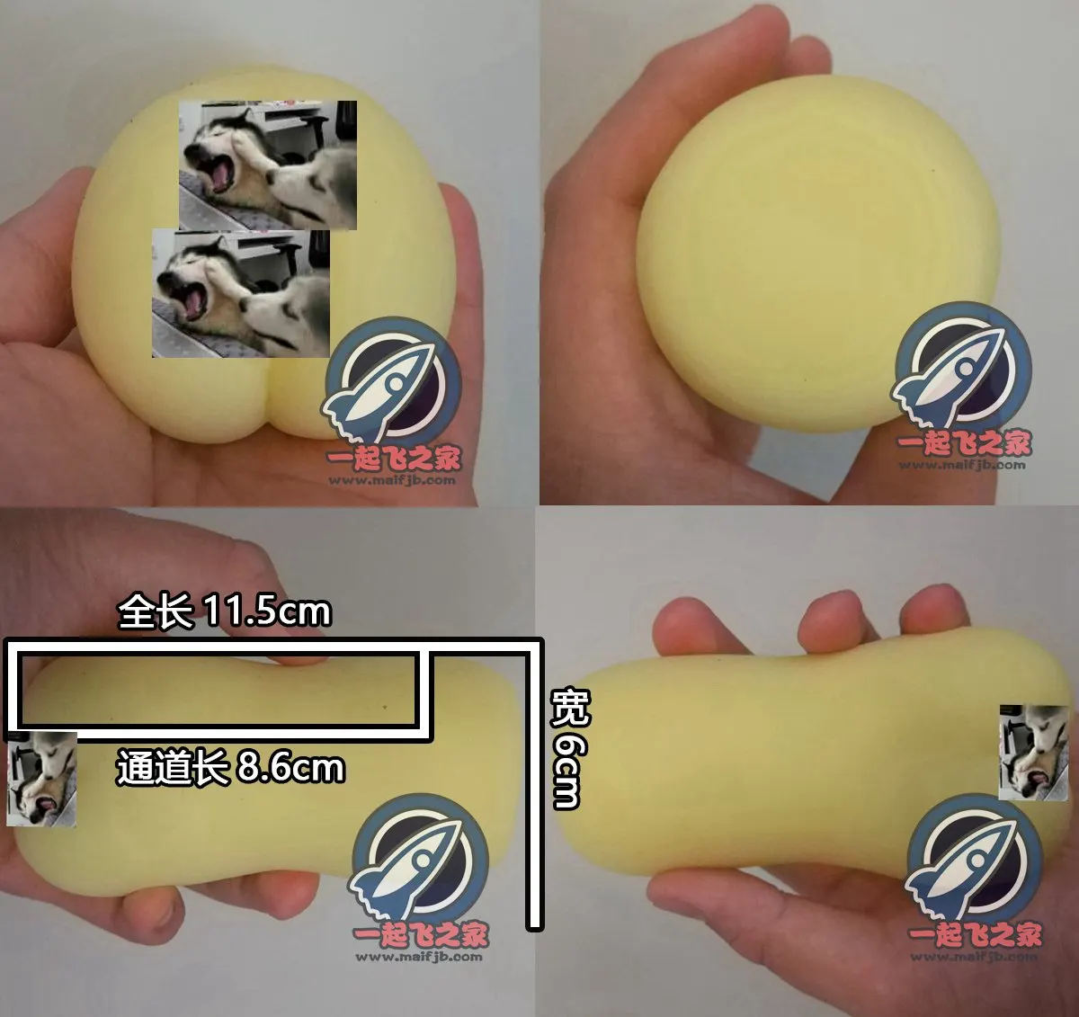 Gproject 海军娘: vier Eingangsstrukturen und starker Rückdruck