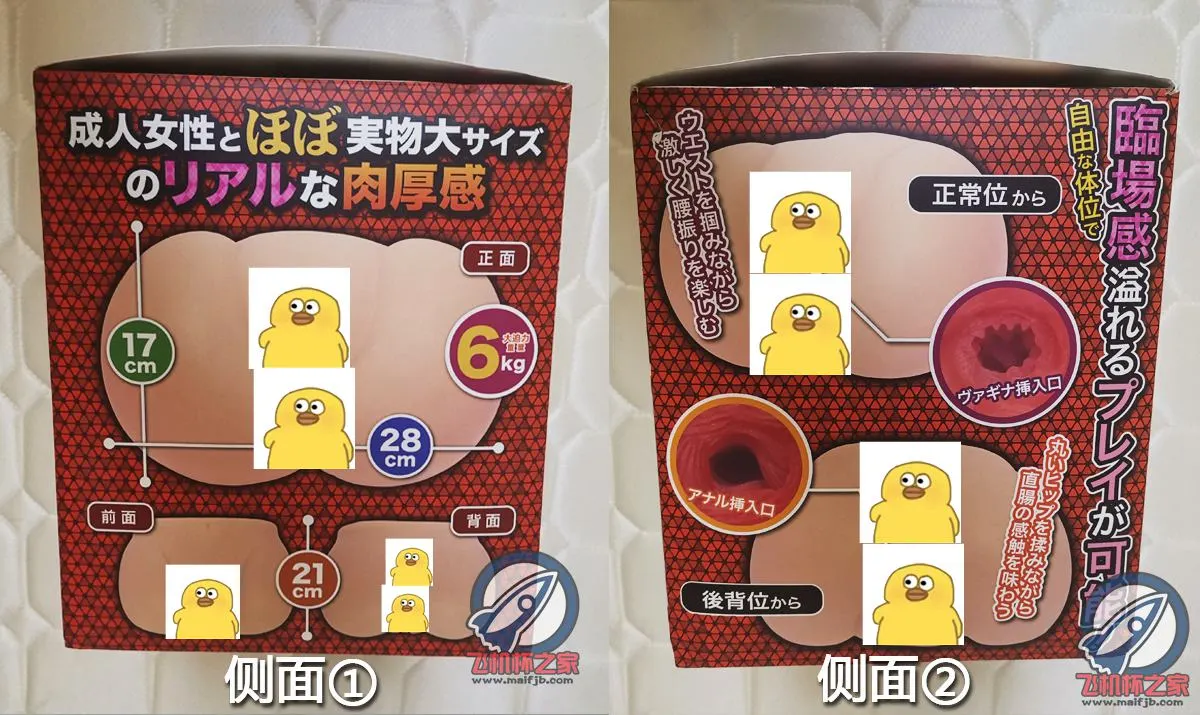 MACCOS 真实之臀: 6 kg schwerer Körper mit zwei Kanälen und hohem Reinigungsaufwand