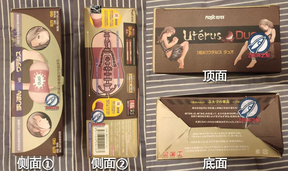 MAGIC EYES Uterus Duo (极彩子宫2代): beidseitige Kanäle und Membrandefekt