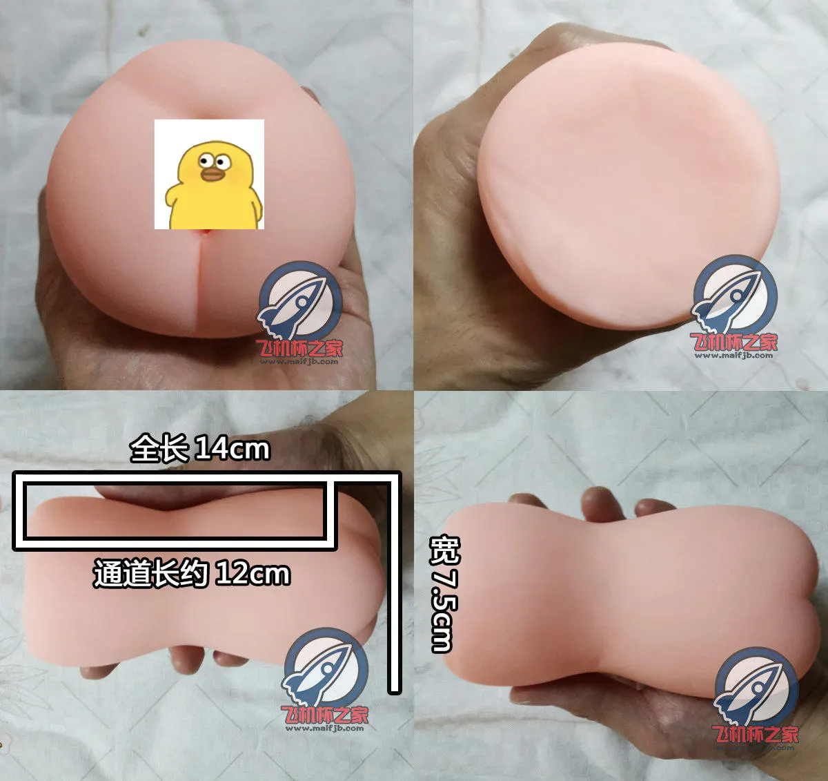 对子哈特 展望欲情: Aufbau und Pflege