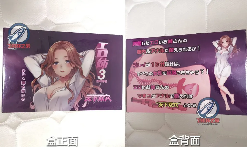 工口姐姐3代: zwei Kanäle und Grenzen weichen Materials