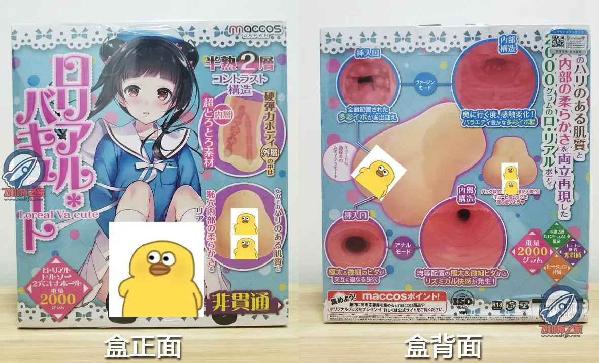 Maccos 半熟生腰, nicht durchgehende Version: elastische Doppelkanäle und Reinigungsaufwand