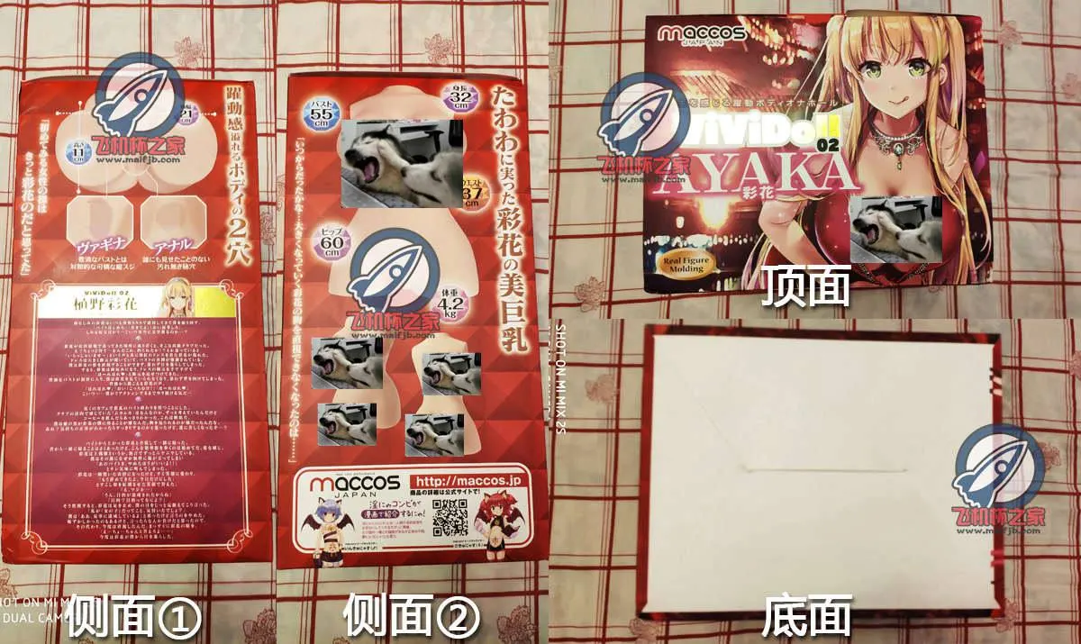 Maccos VIVIDOLL 植野彩花: 4,2 kg schwerer Doppelkörper und aufwendige Reinigung