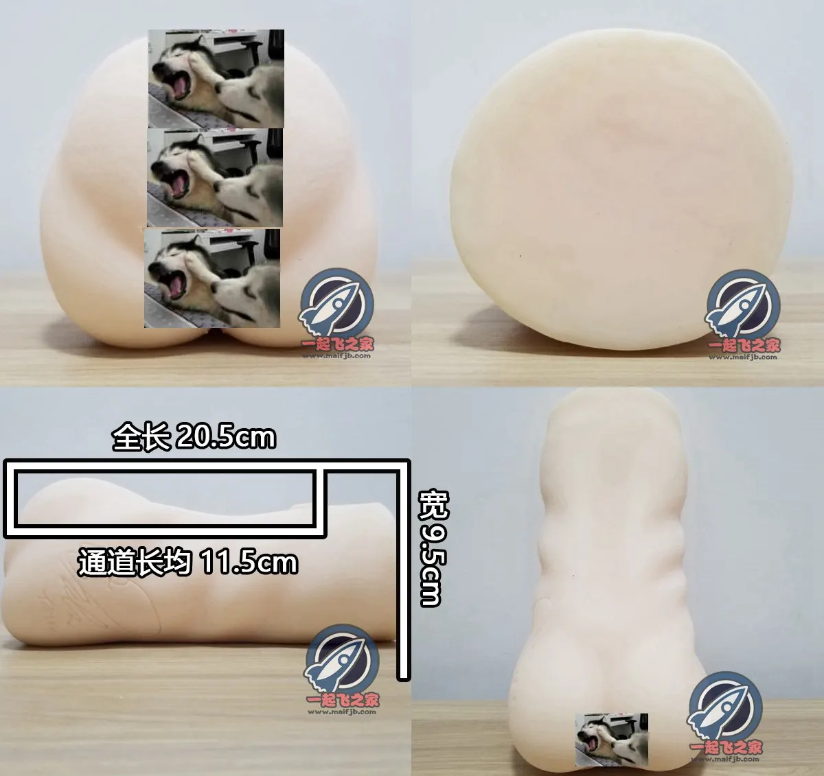 NPG 名器证明011-高桥圣子: deutlicher Hinterkontakt und massives Endstück