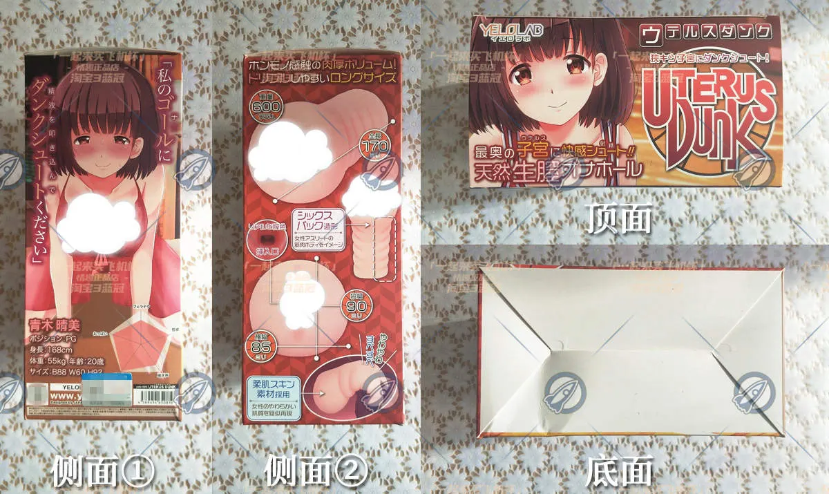 青木晴美: Aufbau und Pflege