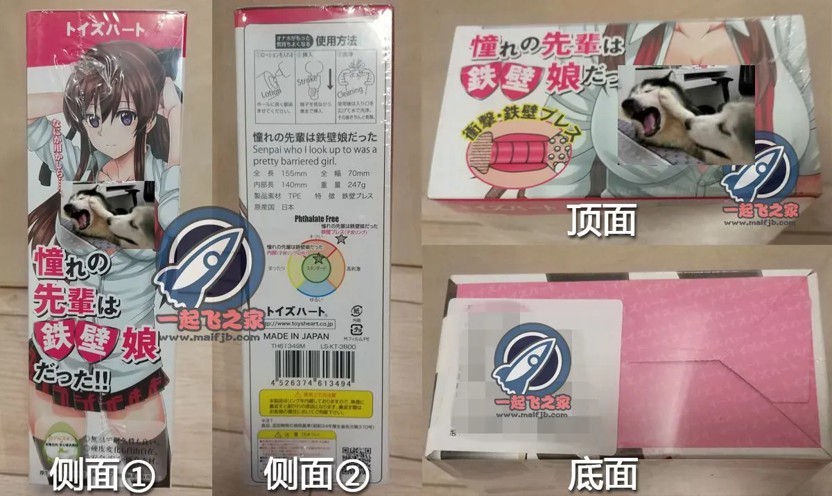 对子哈特 铁壁娘: innere Ringrückmeldung und Bruch bei der ersten Nutzung