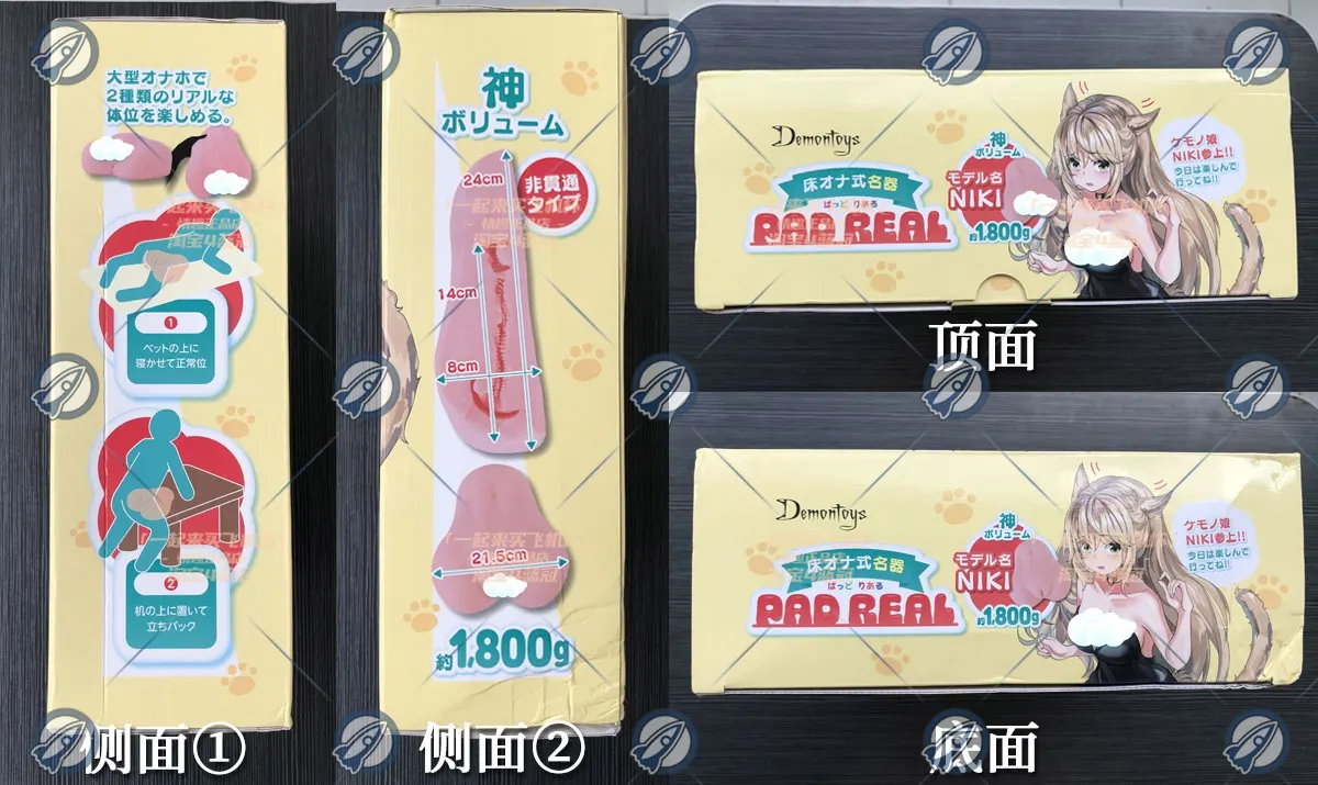 Demontoys 床置型兽耳娘: Aufbau und Pflege