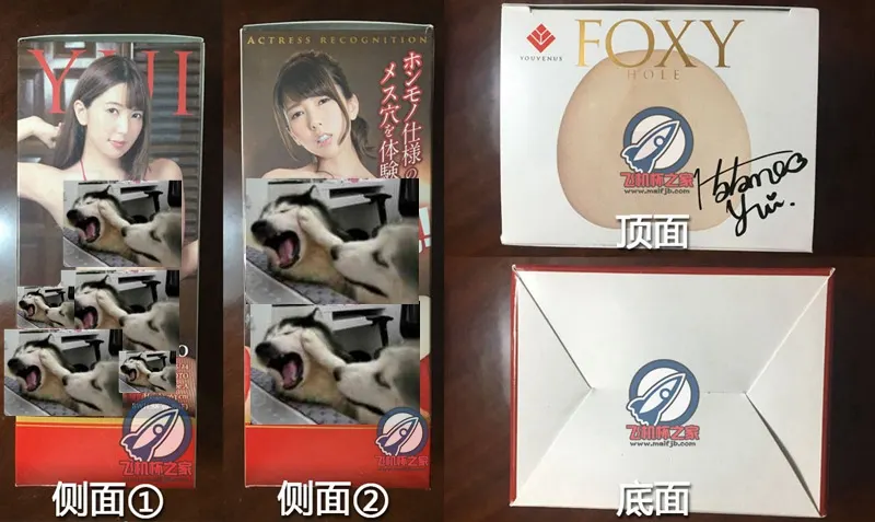 FOXY HOLE-波多野结衣 : canal courbe et petite entrée