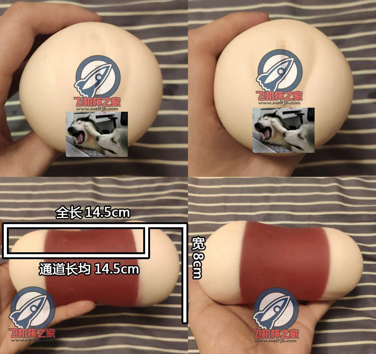 MAGIC EYES Uterus Duo (极彩子宫2代): beidseitige Kanäle und Membrandefekt