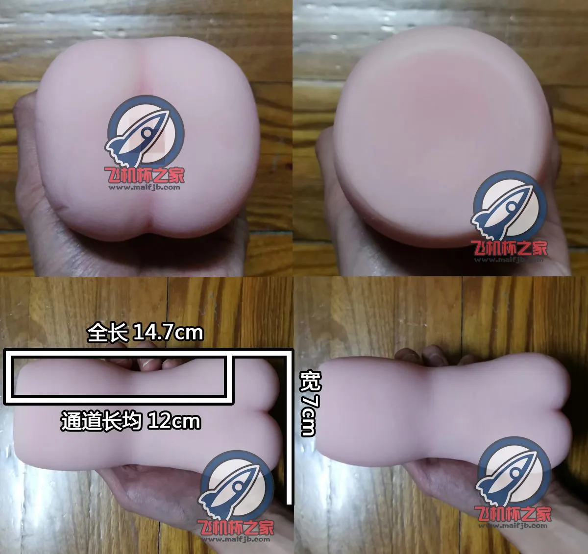 公众欲情: Spiralrippen und Endkammer