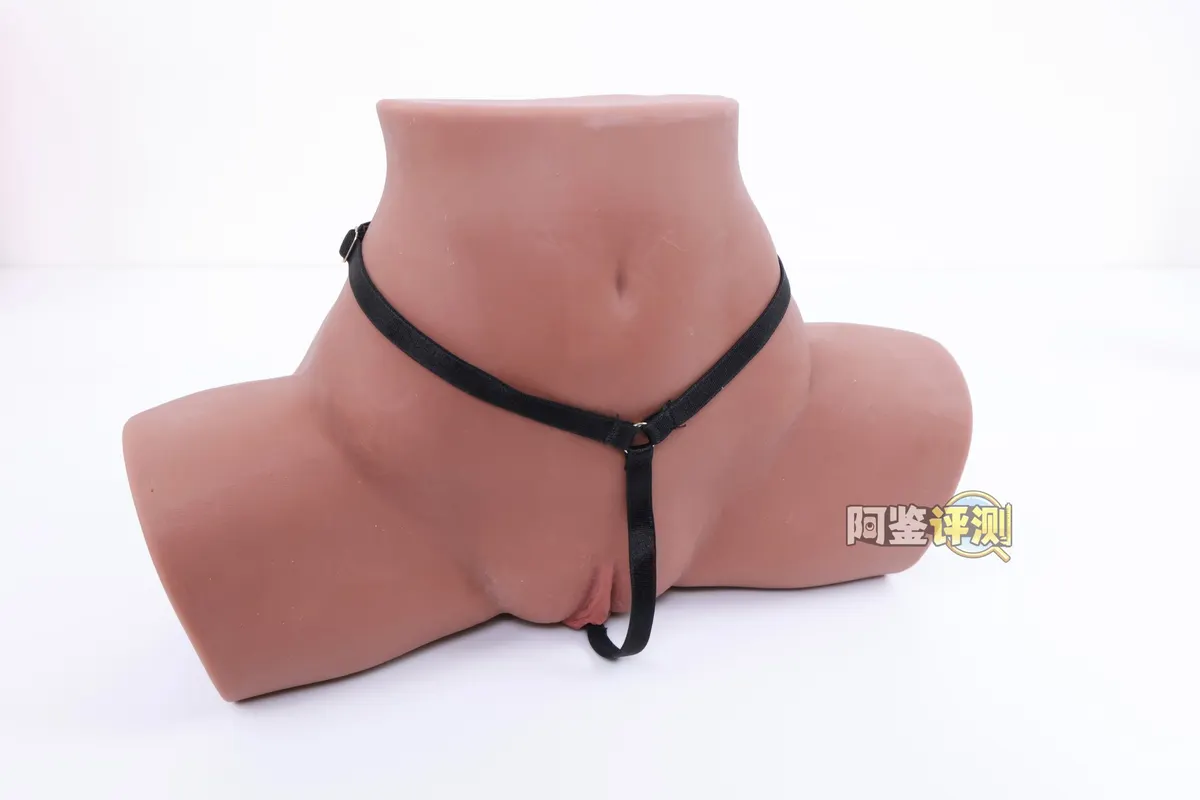 MUNI 埃及艳后 : forme écartée fixe et paroi terminale endommagée